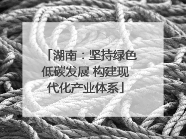 湖南：坚持绿色低碳发展 构建现代化产业体系