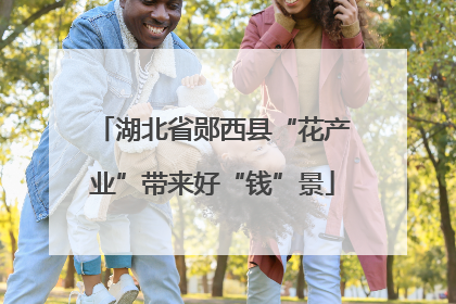 湖北省郧西县“花产业”带来好“钱”景
