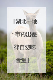 湖北一地：市内出差一律自费吃食堂