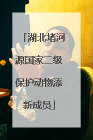 湖北堵河源国家二级保护动物添新成员