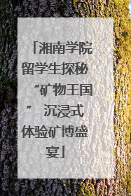 湘南学院留学生探秘“矿物王国” 沉浸式体验矿博盛宴