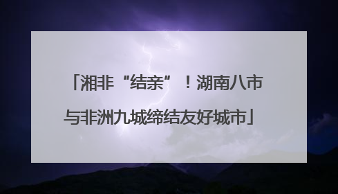 湘非“结亲”！湖南八市与非洲九城缔结友好城市