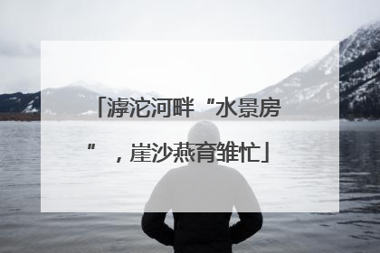 滹沱河畔“水景房”，崖沙燕育雏忙