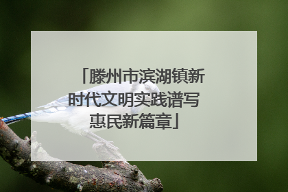 滕州市滨湖镇新时代文明实践谱写惠民新篇章
