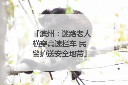 滨州：迷路老人横穿高速拦车 民警护送安全地带