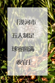 漠河市五人制足球赛圆满收官