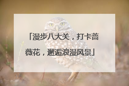 漫步八大关，打卡蔷薇花，邂逅浪漫风景