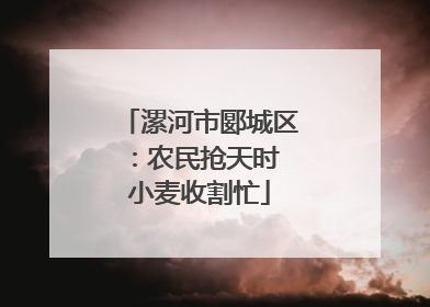漯河市郾城区：农民抢天时 小麦收割忙