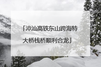 漳汕高铁东山跨海特大桥栈桥顺利合龙