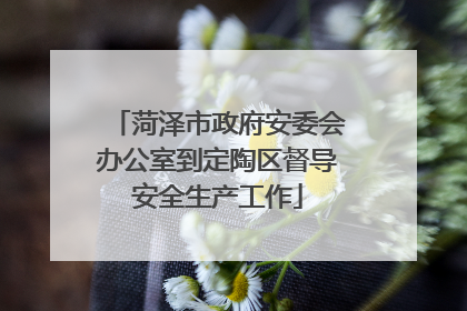 菏泽市政府安委会办公室到定陶区督导安全生产工作