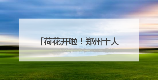 荷花开啦！郑州十大免费赏荷好去处→