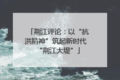 荆江评论：以“抗洪精神”筑起新时代“荆江大堤”