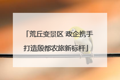 荒丘变景区 政企携手打造殷都农旅新标杆