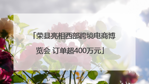 荣县亮相西部跨境电商博览会 订单超400万元