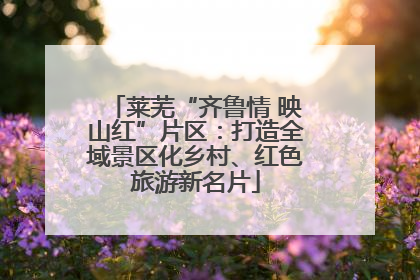 莱芜“齐鲁情 映山红”片区：打造全域景区化乡村、红色旅游新名片