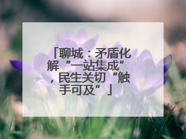 聊城：矛盾化解“一站集成”，民生关切“触手可及”