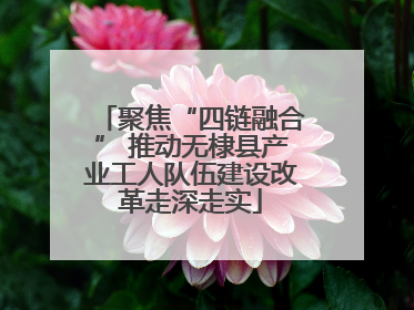 聚焦“四链融合” 推动无棣县产业工人队伍建设改革走深走实