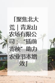 聚焦北大荒｜青龙山农场有限公司：“插前寄秧”助力农业节本增效