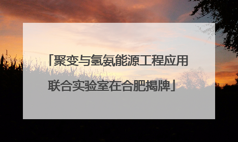 聚变与氢氨能源工程应用联合实验室在合肥揭牌