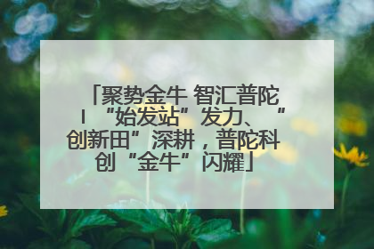 聚势金牛 智汇普陀〡“始发站”发力、“创新田”深耕，普陀科创“金牛”闪耀