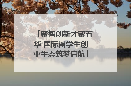 聚智创新才聚五华 国际留学生创业生态筑梦启航
