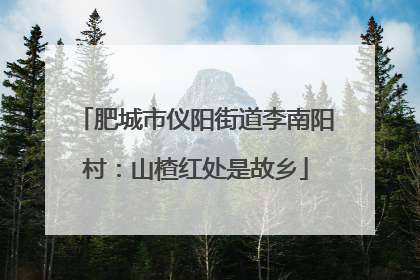 肥城市仪阳街道李南阳村：山楂红处是故乡