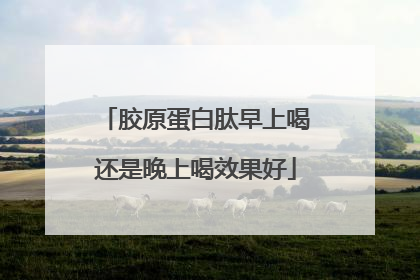 胶原蛋白肽早上喝还是晚上喝效果好