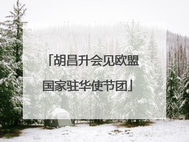 胡昌升会见欧盟国家驻华使节团