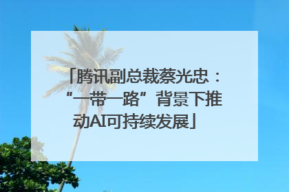 腾讯副总裁蔡光忠：“一带一路”背景下推动AI可持续发展