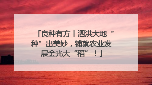 良种有方丨泗洪大地“种”出美妙，铺就农业发展金光大“稻”！