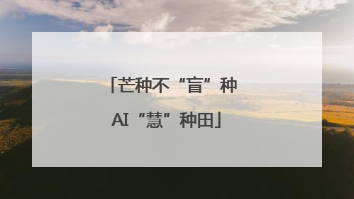 芒种不“盲”种 AI“慧”种田