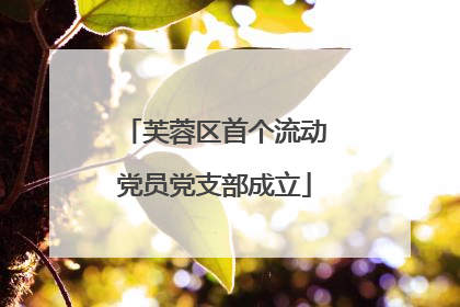 芙蓉区首个流动党员党支部成立