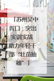 苏州吴中胥口：突出实训实战 助力年轻干部“壮苗抽穗”
