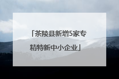 茶陵县新增5家专精特新中小企业