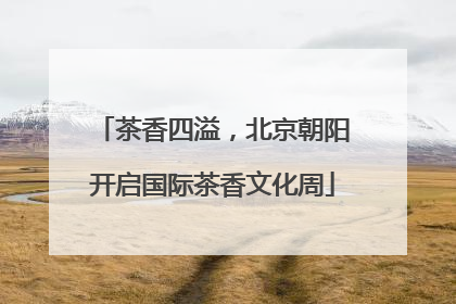 茶香四溢，北京朝阳开启国际茶香文化周