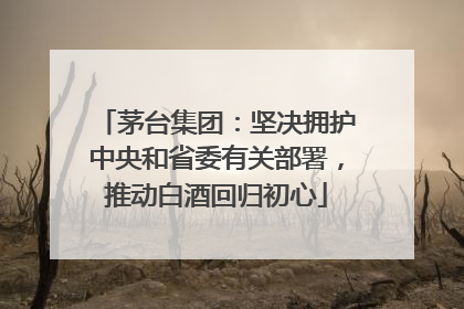 茅台集团：坚决拥护中央和省委有关部署，推动白酒回归初心