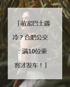 萌宠巴士遇冷？合肥公交：满10位乘客才发车！