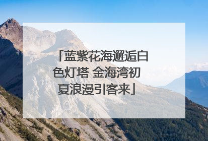 蓝紫花海邂逅白色灯塔 金海湾初夏浪漫引客来