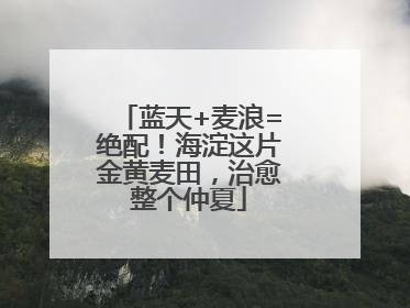 蓝天+麦浪=绝配！海淀这片金黄麦田，治愈整个仲夏