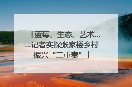 蓝莓、生态、艺术……记者实探张家楼乡村振兴“三重奏”
