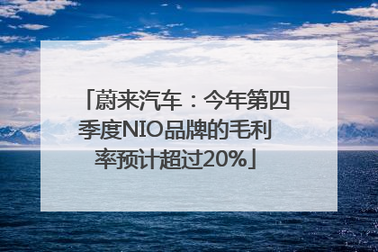蔚来汽车：今年第四季度NIO品牌的毛利率预计超过20%
