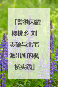 警徽闪耀樱桃乡 刘志硕与北宅派出所的枫桥实践