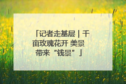 记者走基层｜千亩玫瑰花开 美景带来“钱景”