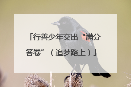 行善少年交出“满分答卷”（追梦路上）