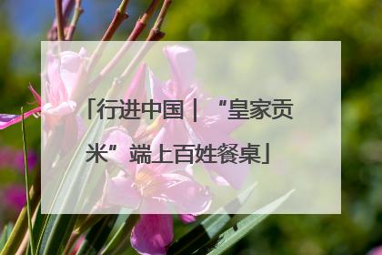 行进中国｜“皇家贡米”端上百姓餐桌