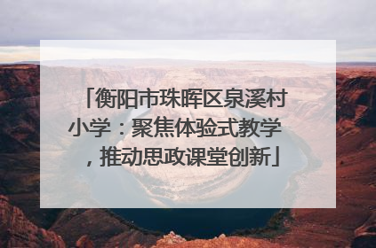 衡阳市珠晖区泉溪村小学：聚焦体验式教学，推动思政课堂创新
