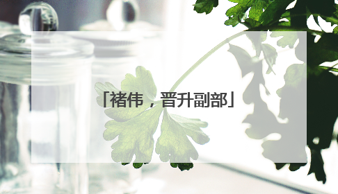 褚伟，晋升副部