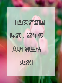 西安浐灞国际港：端午传文明 邻里情更浓