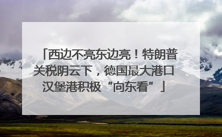 西边不亮东边亮！特朗普关税阴云下，德国最大港口汉堡港积极“向东看”