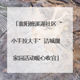 襄阳檀溪湖社区“小手拉大手”洁城靓家园活动暖心收官